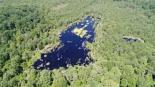 La réserve naturelle régionale de la tourbière de la Grande Pile.