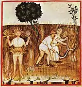 « Été », extrait du Tacuinum Sanitatis, XIVe siècle.