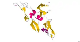 Image illustrative de l’article Fibrilline