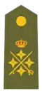 General de Ejército