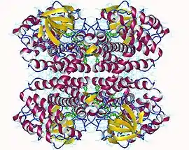 Image illustrative de l’article Acyl-coenzyme A déshydrogénase