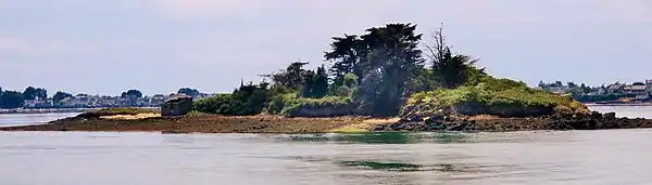 L'île du Grand Huernic vue de la Pointe du Blair.