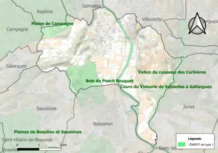 Carte des ZNIEFF de type 1 sur la commune.