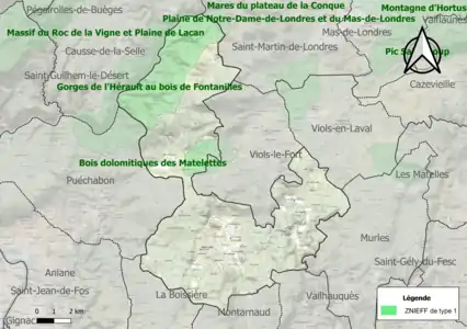 Carte des ZNIEFF de type 1 sur la commune.
