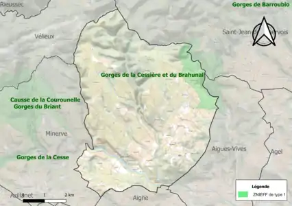 Carte de la ZNIEFF de type 1 sur la commune.