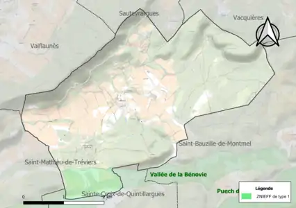 Carte de la ZNIEFF de type 1 sur la commune.