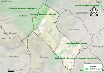 Carte des ZNIEFF de type 1 sur la commune.