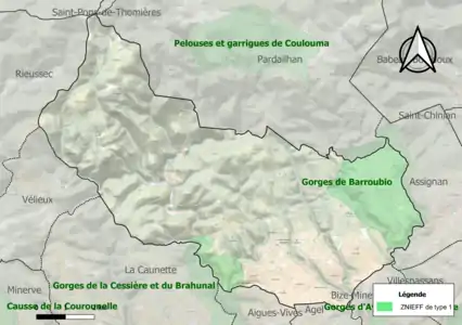 Carte des ZNIEFF de type 1 sur la commune.