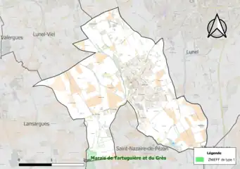 Carte de la ZNIEFF de type 1 localisée sur la commune.