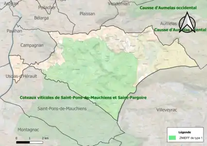 Carte de la ZNIEFF de type 1 sur la commune.