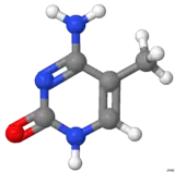 Image illustrative de l’article 5-Méthylcytosine
