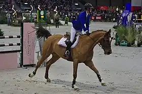 Cayman Athletic monté par Pénélope Leprevost au 54e CHI de Genève en 2014