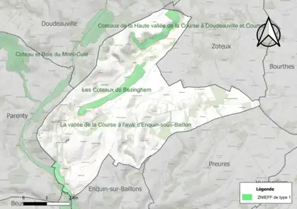Carte des ZNIEFF de type 1 sur la commune.