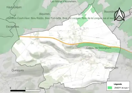 Carte de la ZNIEFF de type 1 sur la commune.