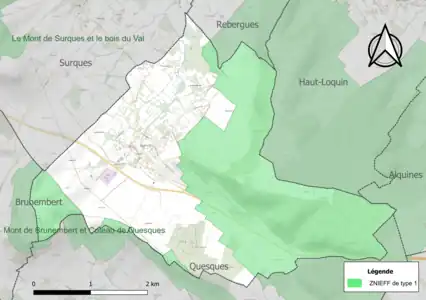 Carte des ZNIEFF de type 1 sur la commune.