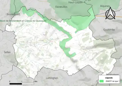 Carte des ZNIEFF de type 1 sur la commune.