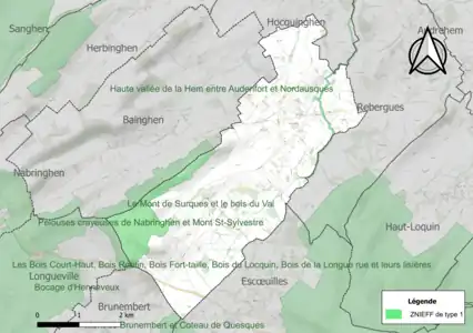 Carte des ZNIEFF de type 1 sur la commune.