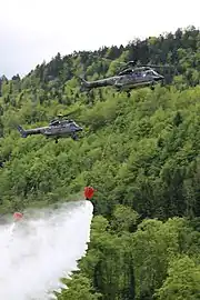 Deux AS332 Super Puma des Forces aériennes suisses lors d'une démonstration.