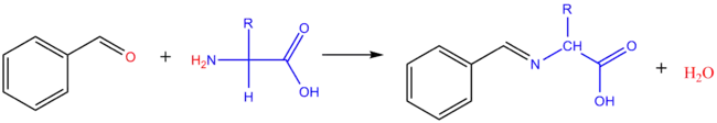 Réaction d'un acide aminé avec un aldéhyde aromatique.