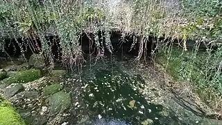 La source de la Doue.
