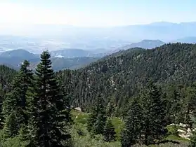 Image illustrative de l’article Forêt nationale de San Bernardino
