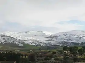 Ahmed Rachedi (Mila)