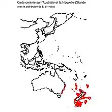 Aire de distribution (en rouge) de E. cirrhatus d'après l'UICN.