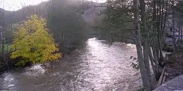 L'Alagnon à Molompize.