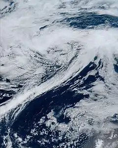 L'ex-Alex au milieu de l'Atlantique nord le 8 juin.