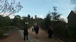 Vue sur l'allée de Pseudotsuga dans la Terre du Froid de Pairi Daiza.