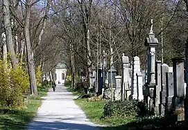 Vue d'une allée du cimetière