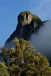 Un large affleurement rocheux, en partie recouvert de forêt, peut être observé surplombant les arbres et les nuages.