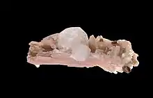 Analcime sur sérandite du mont Saint-Hilaire, Québec (4,8 × 2 cm).