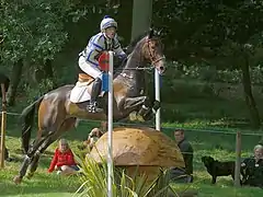 Épreuve de cross.