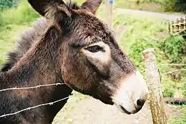 La clôture fonctionnelle des éleveurs est destinée à garder ou guider le bétail et certains animaux domestiques.