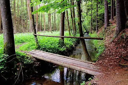 Réserve naturelle de la vallée de l'Anen.