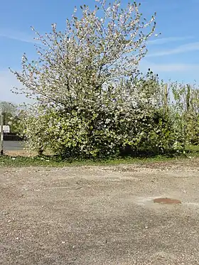 Le puits Sainte-Catherine en 2011, sur une friche.