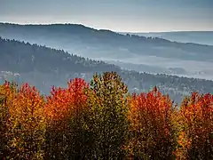 Depuis la colline de Ansberg, vers le sud, dans le Jura franconien.