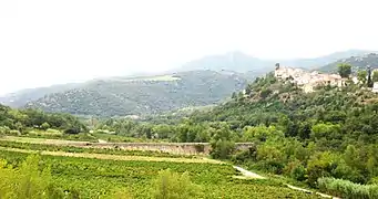 Vue de la route d'amont, rive gauche.