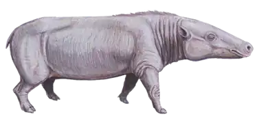 Reconstitution de Anthracotherium  (Anthracotheriidae)