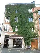 L'espèce peut couvrir un immeuble de 3 étages