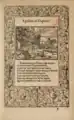 Apollon et Daphné, gravure de Bernard Salomon publiée dans la Métamorphose d'Ovide figurée par Jean de Tournes dans l'édition de 1564.