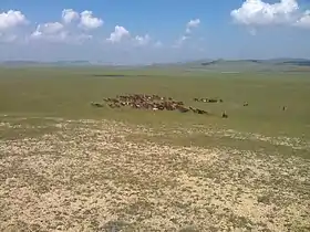 Bannière d'Ar Horqin