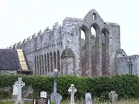 Image illustrative de l’article Cathédrale Saint-Brendan d'Ardfert