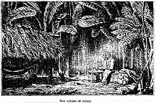 Dessin représentant Armand Reclus assis à sa table de travail en pleine forêt tropicale du Darien.