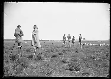 Bergers dans la lande (Cliché Félix Arnaudin)