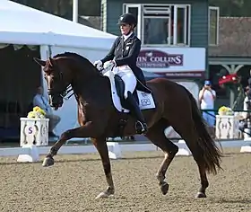 Image illustrative de l’article Ashley Nicoll