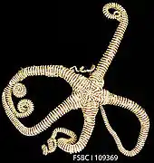 Asteroporpa annulata (idem)