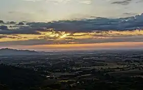 Araure (municipalité)