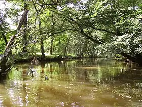 Image illustrative de l’article Oppidum de Cordes-Châteloi